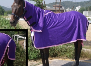 horse sheet Pr-003