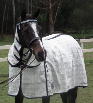 Combo Horse Blanket Pr-014