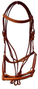 Bridle cum halter BD-015