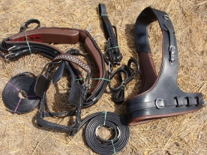 French Harness HRN-006