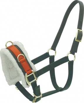 draft horse halter NH-028