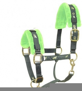 padded halter NH-116
