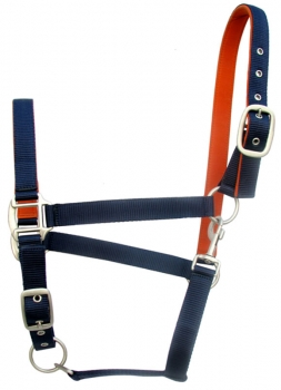 padded horse halters NH-15