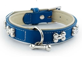 fashionable dog collars DC-13